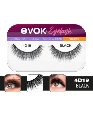 EV-ELH-4D19