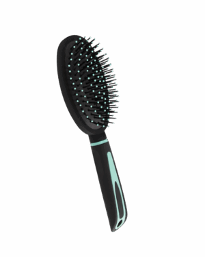 A019-R78029