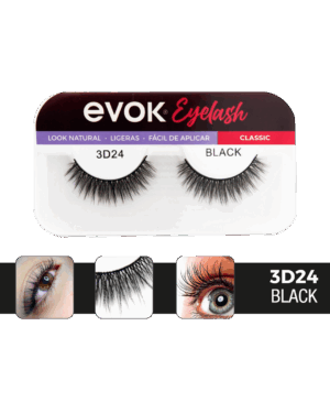 EV-ELH-3D24 EV-ELH-3D24