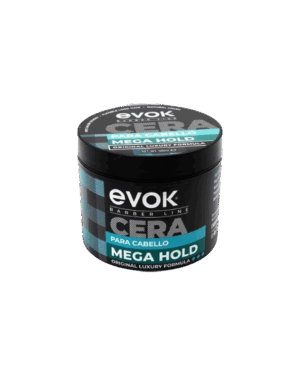 EV-HW-MG