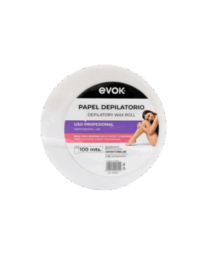 EV-PA100